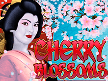 Cherry Blossoms от Microgaming – для риска игровой автомат